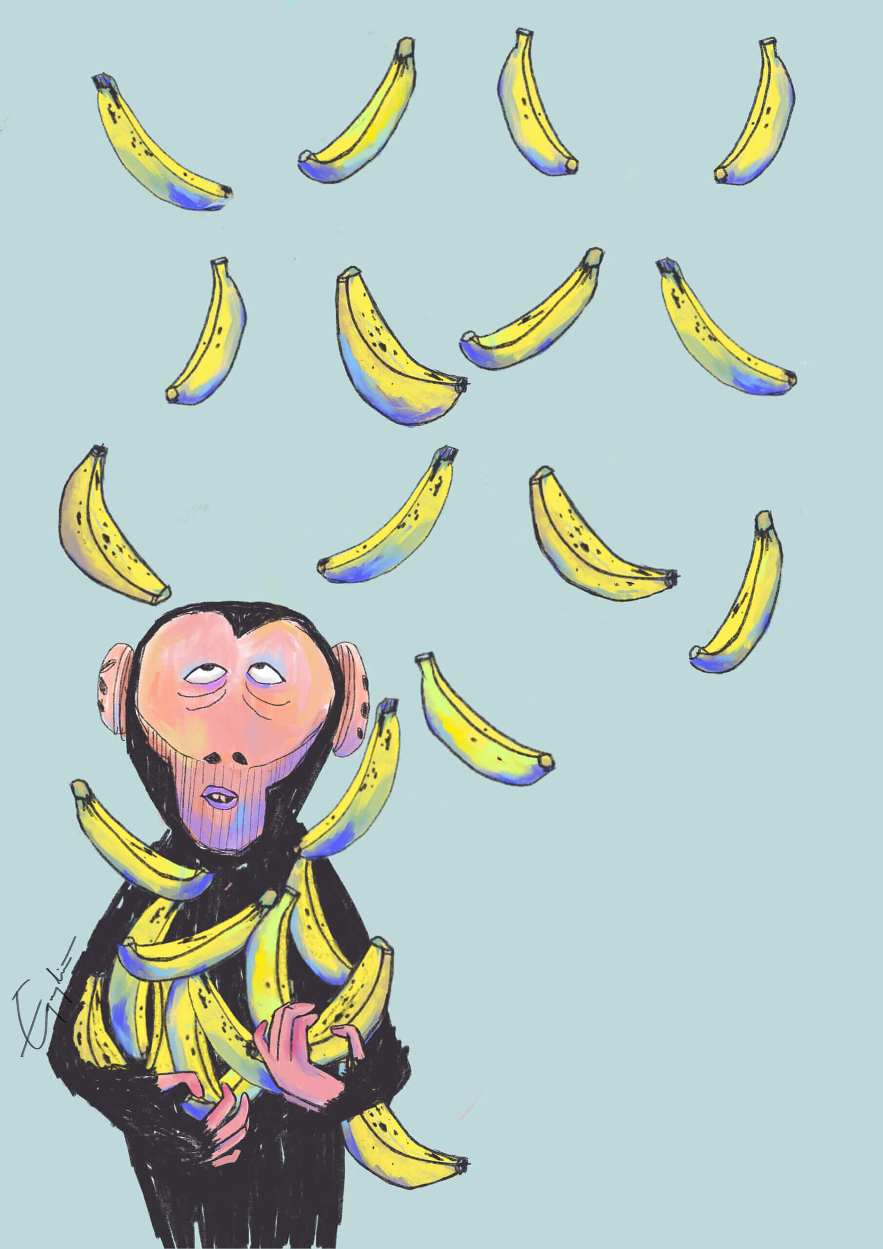 Bananas, lots of bananas!